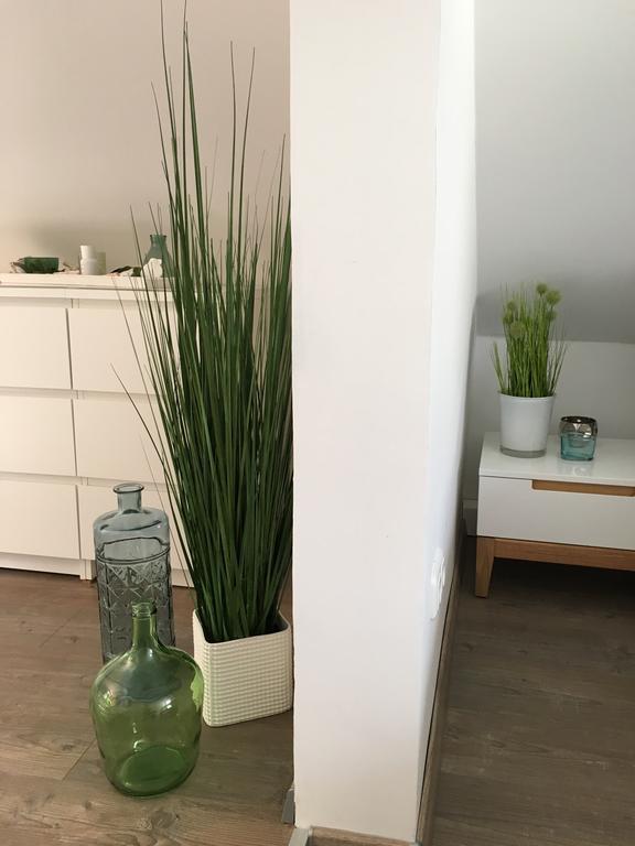 Ferienhaus Zur Mainpforte Mainz Exteriör bild
