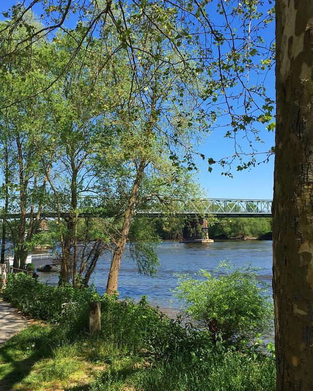 Ferienhaus Zur Mainpforte Mainz Exteriör bild