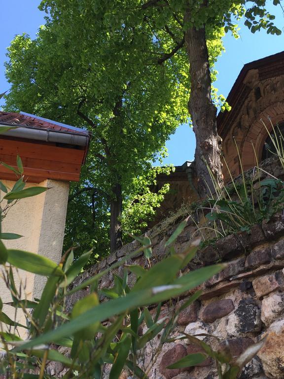 Ferienhaus Zur Mainpforte Mainz Exteriör bild