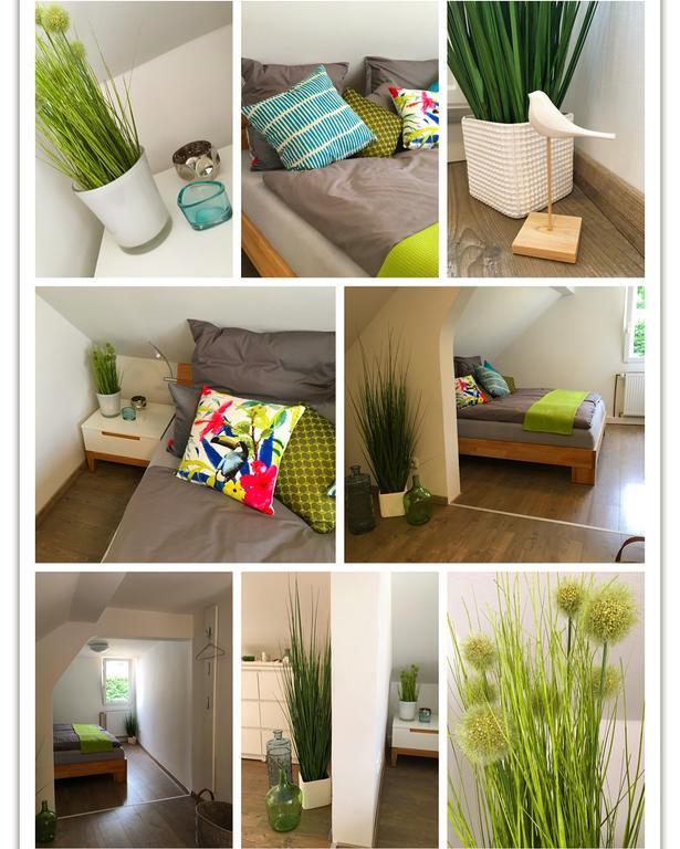 Ferienhaus Zur Mainpforte Mainz Exteriör bild