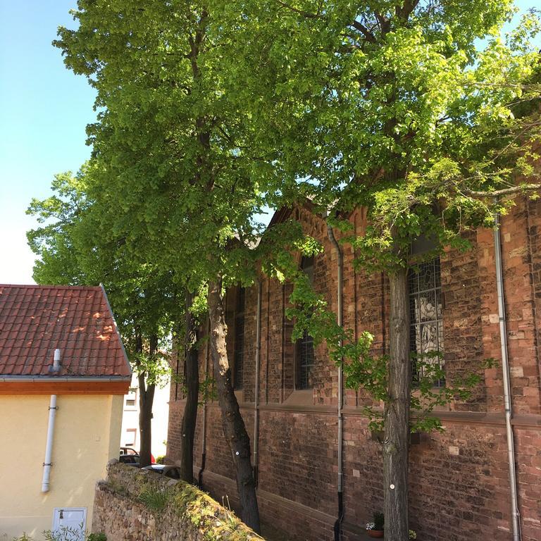 Ferienhaus Zur Mainpforte Mainz Exteriör bild